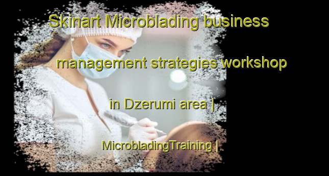 Skinart Microblading business management strategies workshop in Dzerumi area | MicrobladingTraining | MicrobladingClasses | SkinartTraining-Latvia